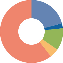 Stock Distribution by Owner1